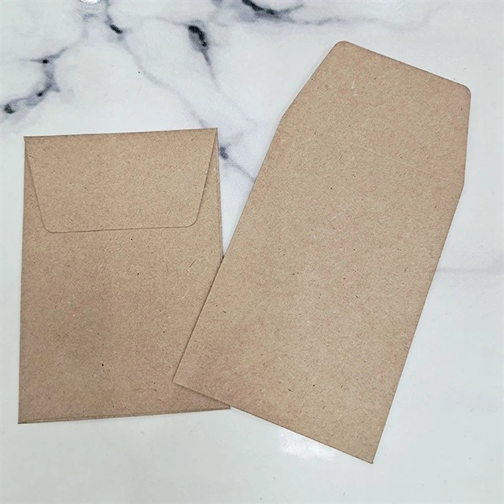transparent envelope bag